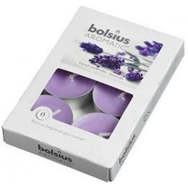 Aromatic Tealight - Bolsius - French Lavender