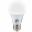LED A60 Lamp - 3000K - E27 - 10W