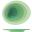Plate - Oval - Melamine - Atlantis - Shoots Green - 22cm (8.75&quot;)
