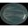Coupe Plate - Oval - Revolution - Jade - 34.25cm (13.5&quot;)
