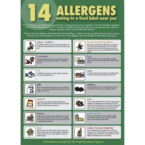 The 14 Allergens Guide for Staff - Self-adhesive Vinyl - A3 - Avica