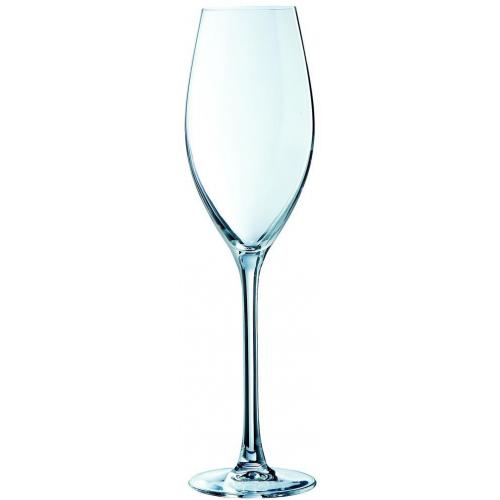 Champagne Flute - Grands C&#233;pages - 24cl (8.5oz)