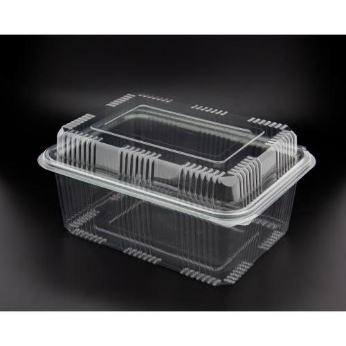 Food Container - Oblong - High Hinged Lid - 2000cc (70.4oz)