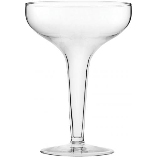 Champagne Coupe Glass - Hollow - Antoinette - 24cl (8.5oz)