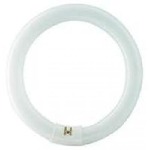 Fly Trap - T9 - UV Circular Replacement Tube - 22w