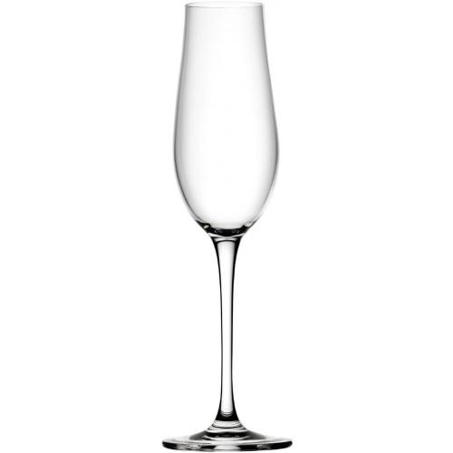 Champagne Flute - Crystal - Tigris - 23.5cl (8.25oz)